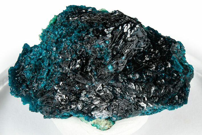 Vibrant Blue Veszelyite Crystal Cluster - Congo #351586